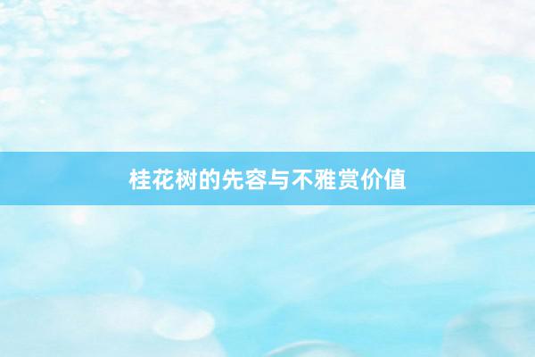 桂花树的先容与不雅赏价值