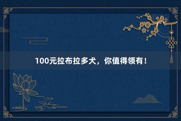 100元拉布拉多犬，你值得领有！